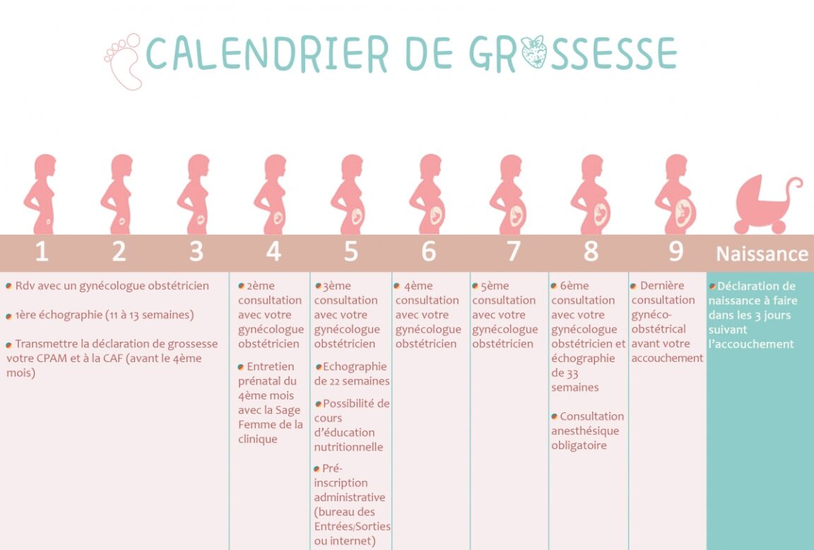 Comment Calculer Mon Calendrier De Grossesse Planetefemmes Magazine Dinformations Pour 