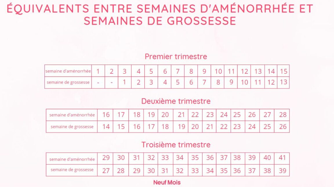 Comment Compter Les Semaines De Grossesse Planetefemmes Magazine Dinformations Pour Les 