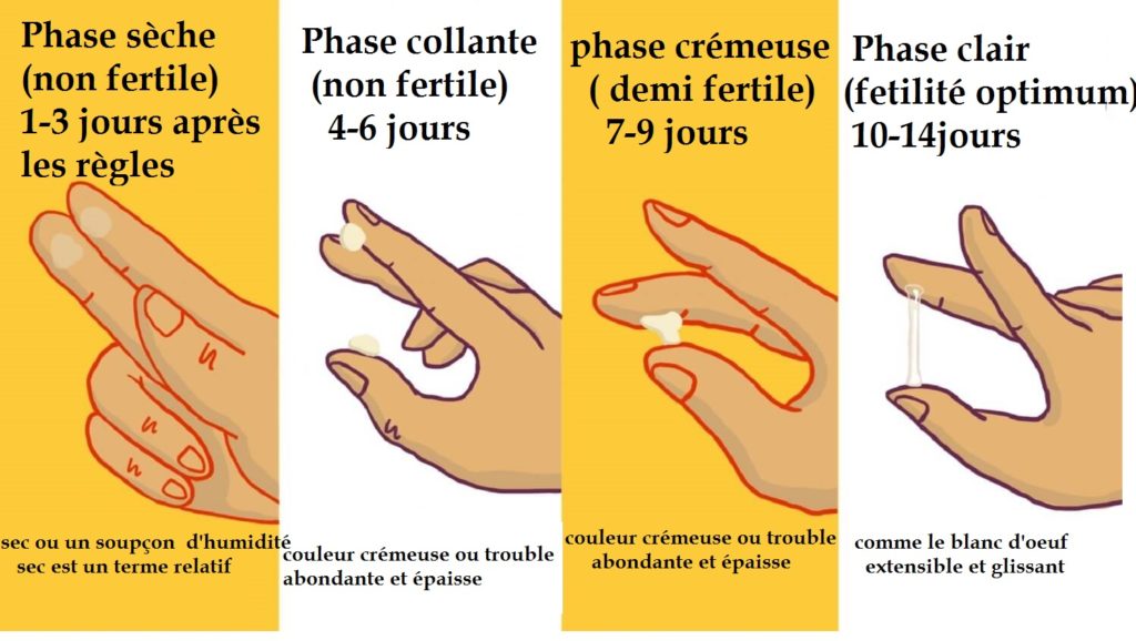 Comment Sont Les Règles En Début De Grossesse Planetefemmes Magazine Dinformations Pour