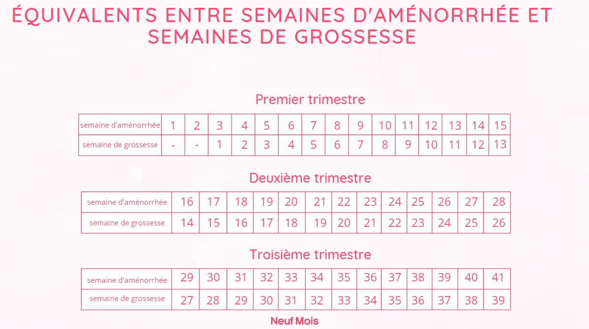 Quelle est la différence entre semaine d'aménorrhée et semaine de