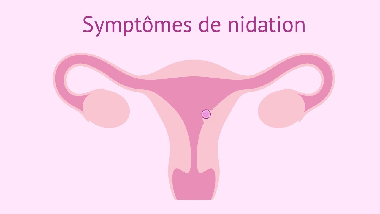 Quels Sont Les Signes Dune Nidation Réussie Planetefemmes Magazine Dinformations Pour 